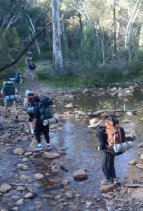 About Bushwalking Leadership SA