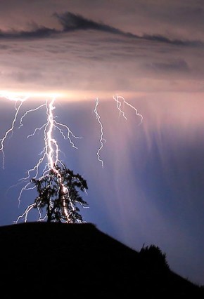 Bushwalking safety - beware of lightning when it strikes