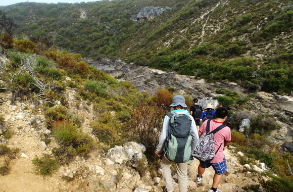 News | Bushwalking Leadership SA